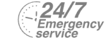 24/7 Emergency Service Pest Control in Mortlake, SW14. Call Now! 020 8166 9746