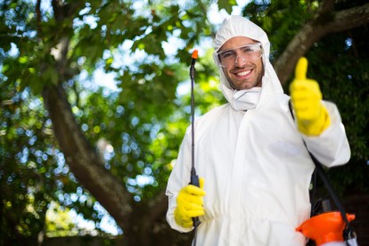 Pest Control in Mortlake, SW14. Call Now 020 8166 9746