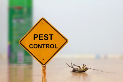 Pest Contol in Mortlake, SW14. Call Now 020 8166 9746